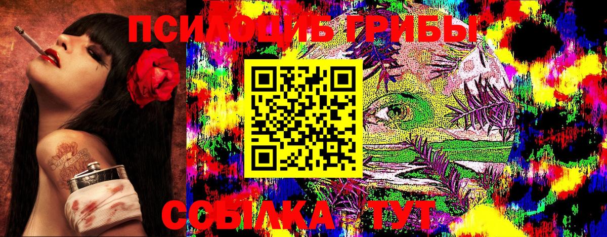 Псилоцибиновые грибы GOLDEN TEACHER Тулун